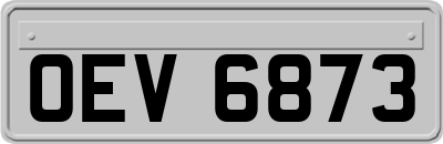 OEV6873