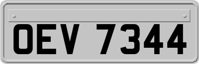 OEV7344