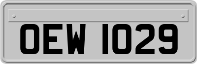 OEW1029