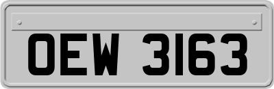 OEW3163
