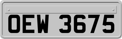 OEW3675