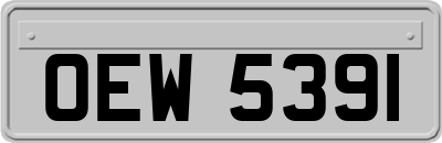 OEW5391