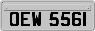 OEW5561
