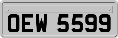 OEW5599
