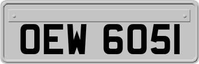 OEW6051