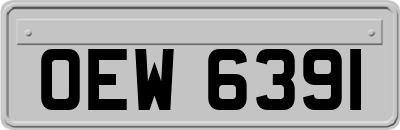 OEW6391