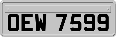 OEW7599