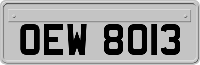 OEW8013