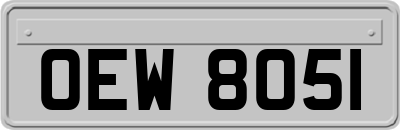 OEW8051