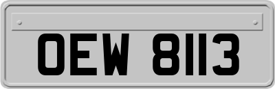 OEW8113