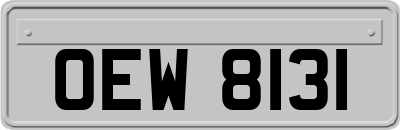 OEW8131