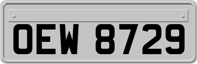 OEW8729