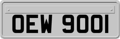 OEW9001