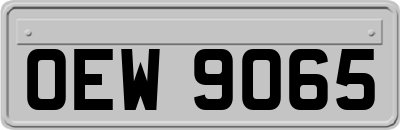 OEW9065