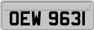 OEW9631