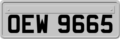 OEW9665
