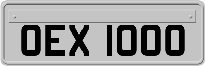OEX1000