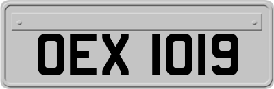 OEX1019