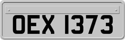 OEX1373