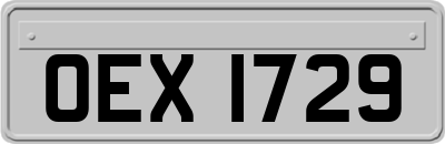 OEX1729