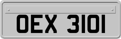 OEX3101