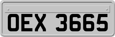 OEX3665