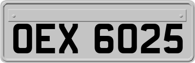 OEX6025
