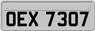OEX7307