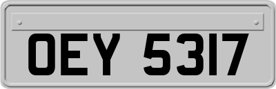 OEY5317
