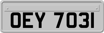 OEY7031