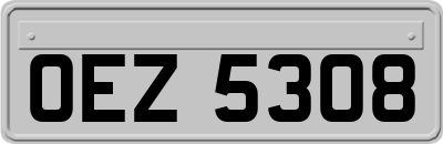 OEZ5308