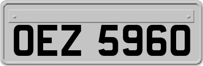 OEZ5960