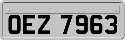 OEZ7963