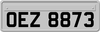 OEZ8873
