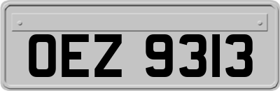 OEZ9313