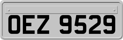 OEZ9529