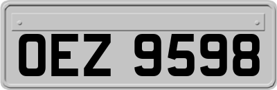 OEZ9598