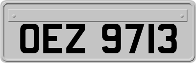OEZ9713