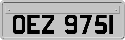 OEZ9751