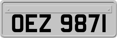 OEZ9871