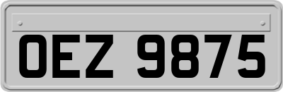 OEZ9875