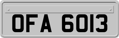 OFA6013
