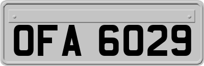 OFA6029
