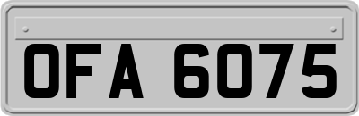 OFA6075