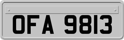 OFA9813