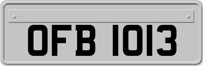 OFB1013