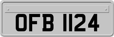 OFB1124