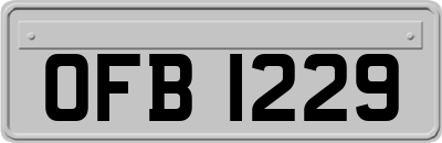 OFB1229