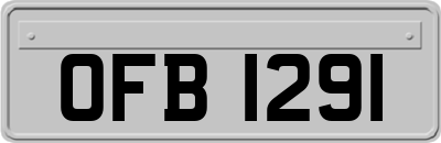 OFB1291