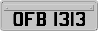 OFB1313